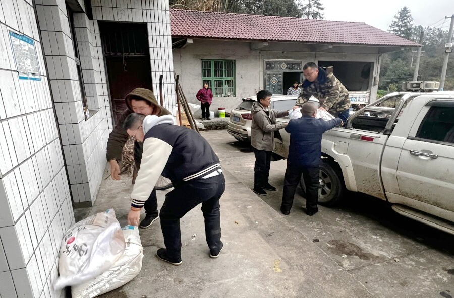 理公港镇：闻令而动筑防线 暖冬守护显担当——全力应对低温雨雪冰冻灾害