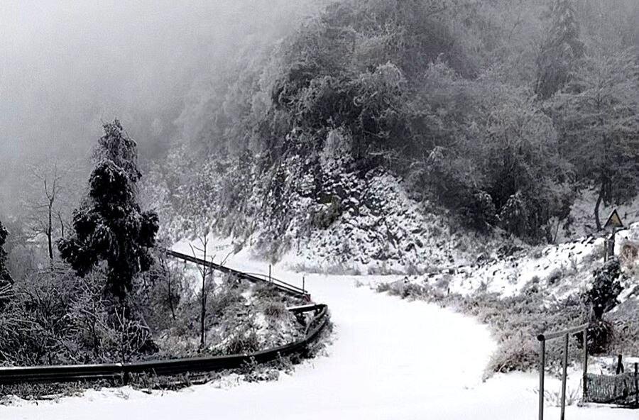 桃源：以“雪”为令 严阵以待 筑牢冰雪季林业安全防线