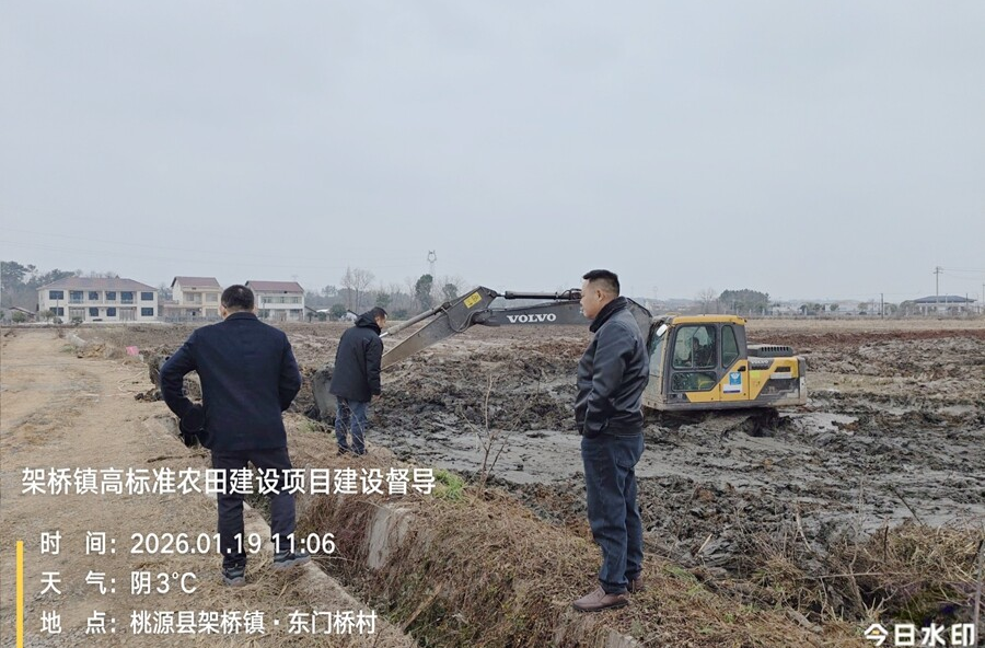 督导促提质 良田筑根基——架桥镇开展高标准农田建设项目专项督导