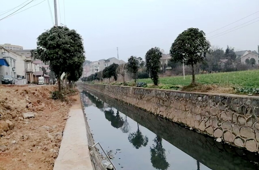 漆河镇仙鹤路： 清理港沟垃圾，擦亮乡村宜居底色