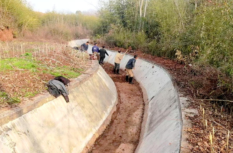 双溪口镇：冬修水利正当时 清渠砍青惠民生