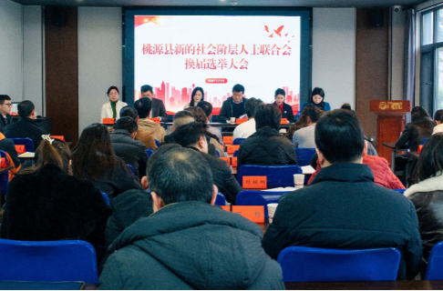 凝心聚“新”启新程 桃源县新阶联换届大会圆满举行