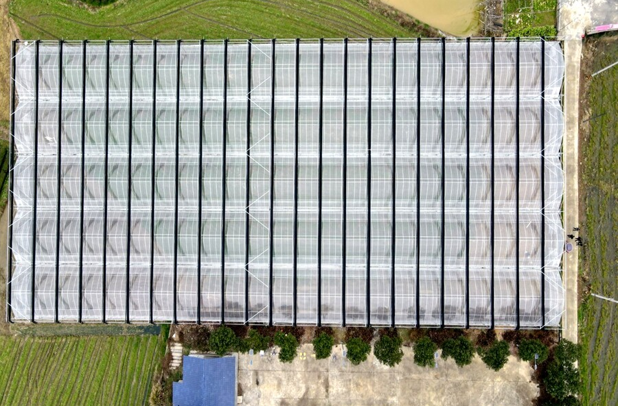 茶庵铺镇：建棚育秧补短板  绘就春耕好图景