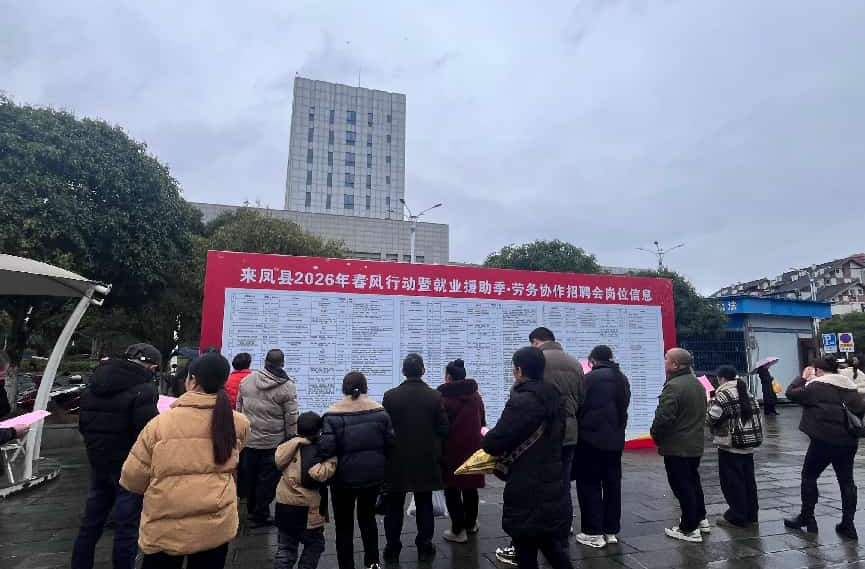 湘鄂携手搭平台 劳务协作促就业  ——桃源县・来凤县2026年“春风行动”劳务协作招聘会圆满举办