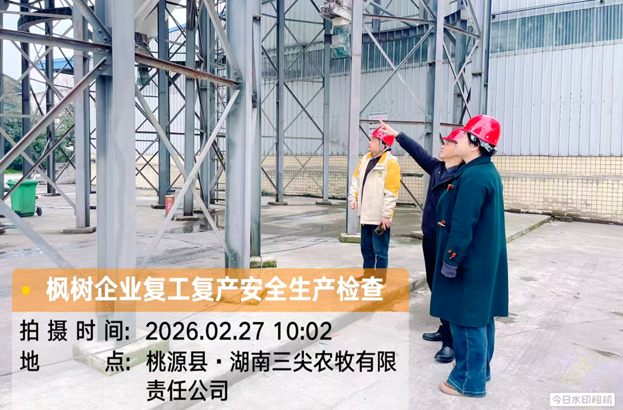 严把复工“安全关” 护航发展“开门红”——枫树乡开展节后企业复工复产专项检查