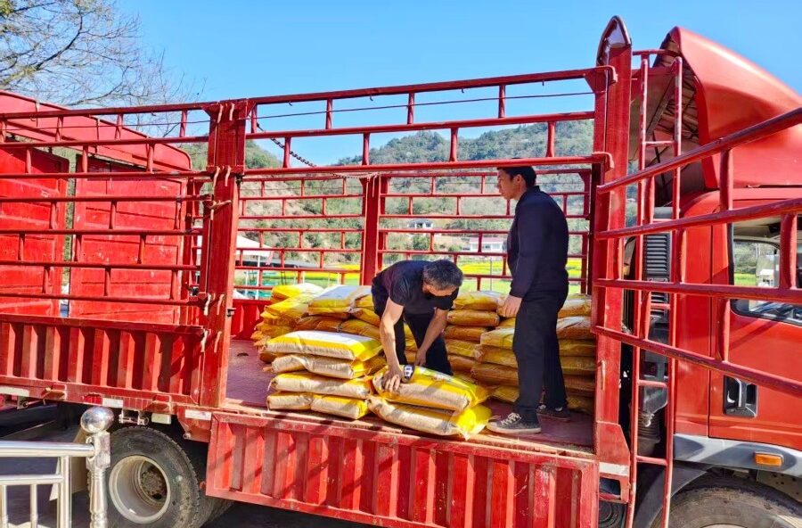 理公港镇：抢抓农时推进双季稻生产，种子发放到户促增产