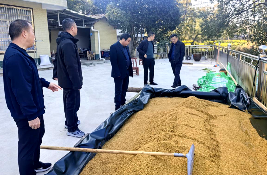 黄石镇：不误农时，全力打好摆盘育秧“第一仗”