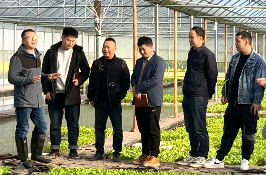 三阳港镇：年轻干部深入烟田“取经”，以实践研学促担当作为