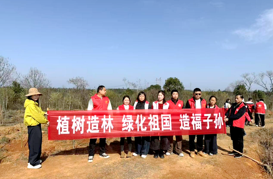 漳江街道：携手添新绿 植树正当时