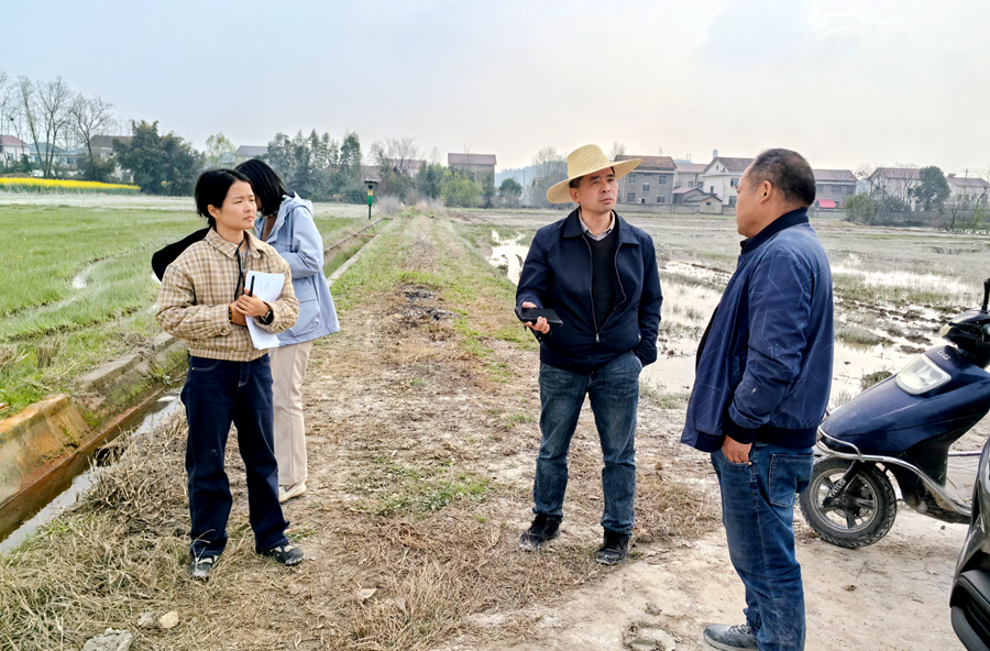 枫树乡：省级专家下沉一线 科技护航早稻生产
