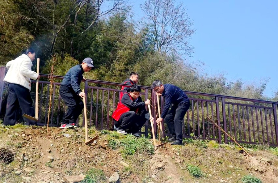 不负春光添新绿——杨溪桥镇开展义务植树 活动助力生态振兴