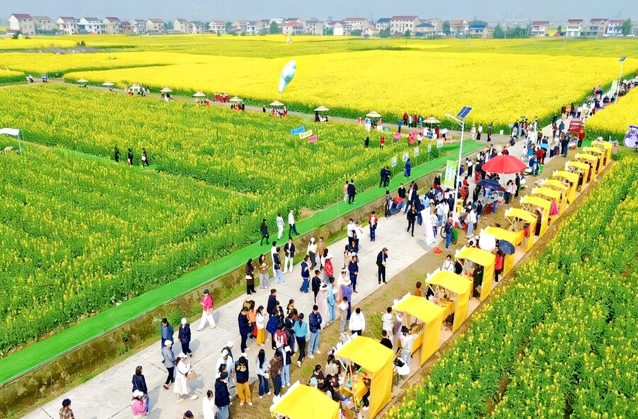 木塘垸镇：花海人海相映成辉！油菜花节今日再迎客流高峰