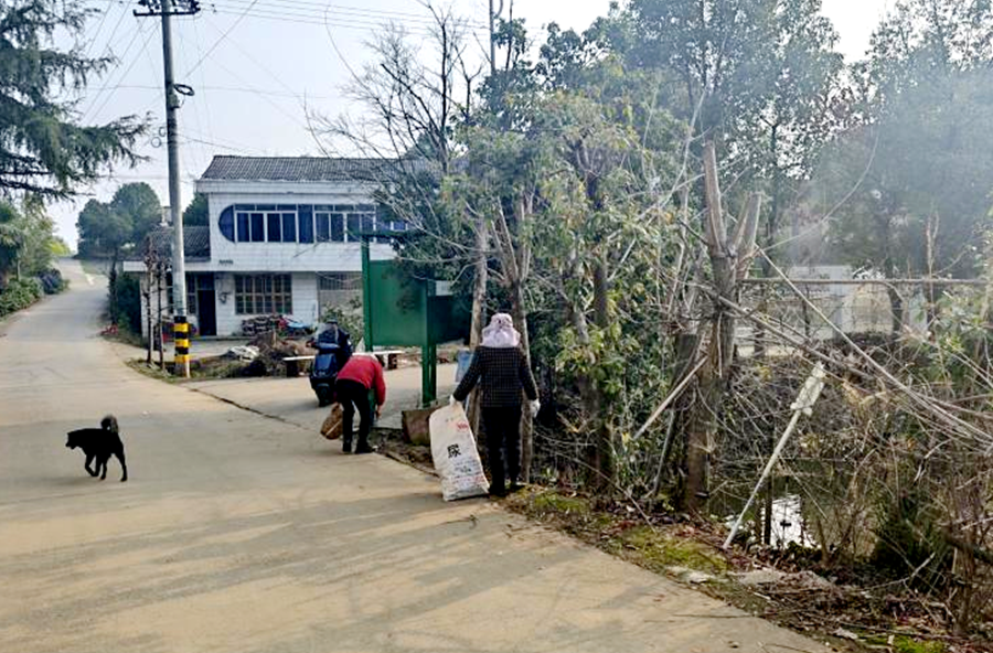 架桥镇：扫净家园迎复工 扮靓乡村启新程