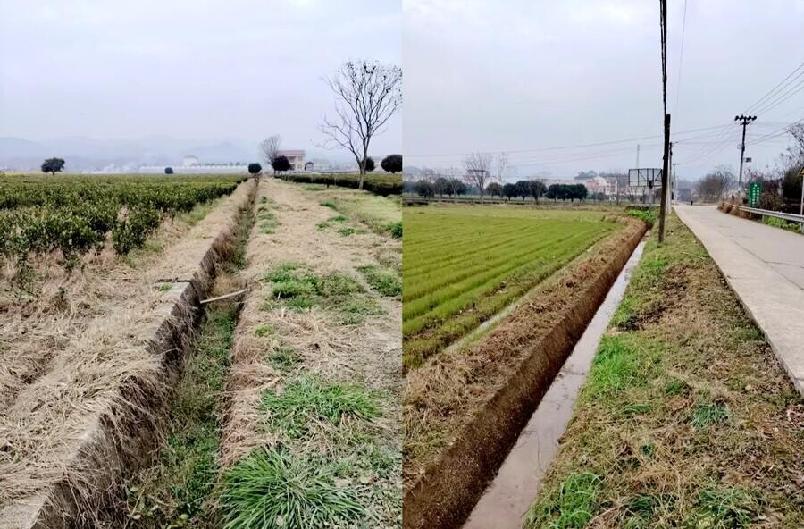 茶庵铺镇：田埂上解民忧 春耕里护丰收
