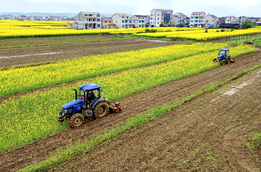 木塘垸镇：不误农时，春雨润田育秧忙