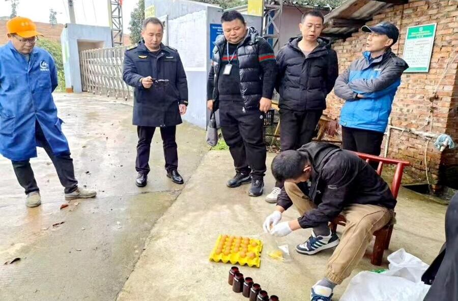 架桥镇：联合抽检筑防线 保障禽蛋产品质量安全