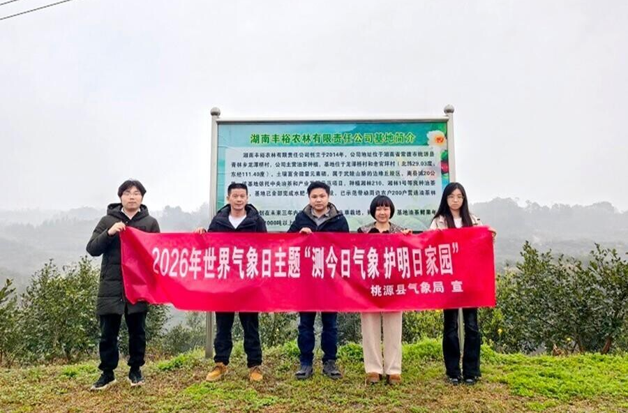 桃源气象服务进油茶园 精准护航春季生产