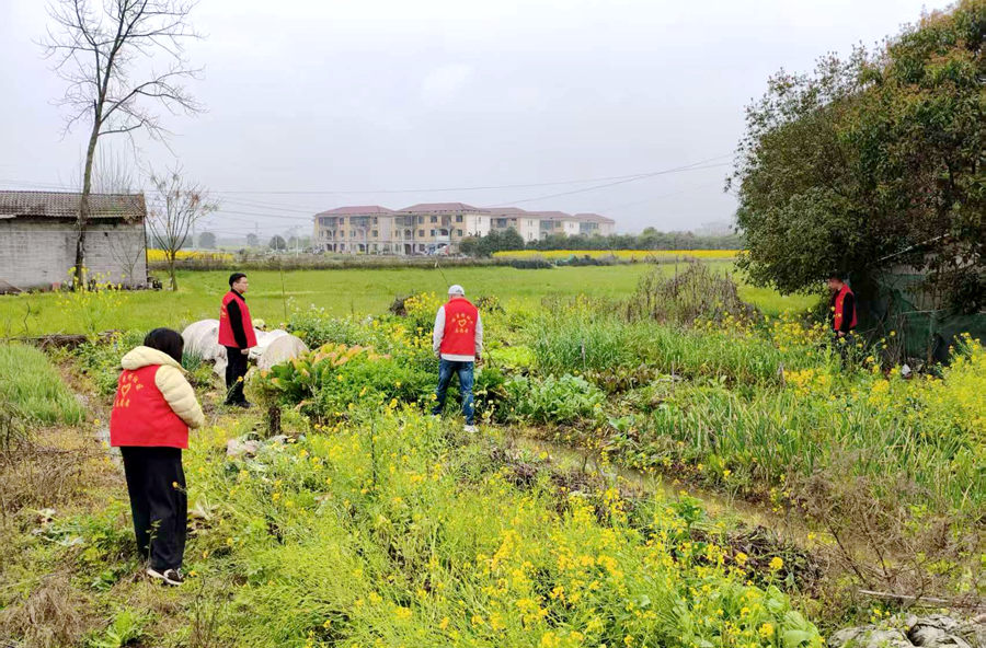 浔阳街道：春日“禁种铲毒” 守护无毒净土
