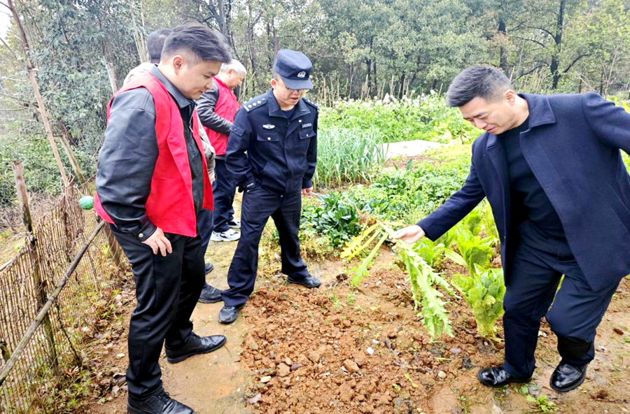 架桥镇：筑牢禁毒防线 守护田园净土