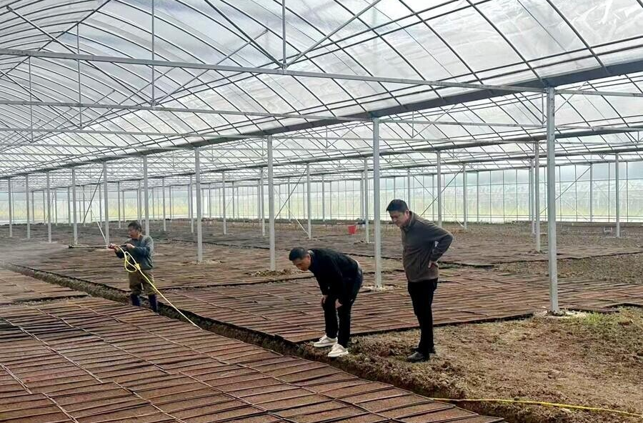 茶庵铺镇：一线督导抓落实 粮食生产稳步推进