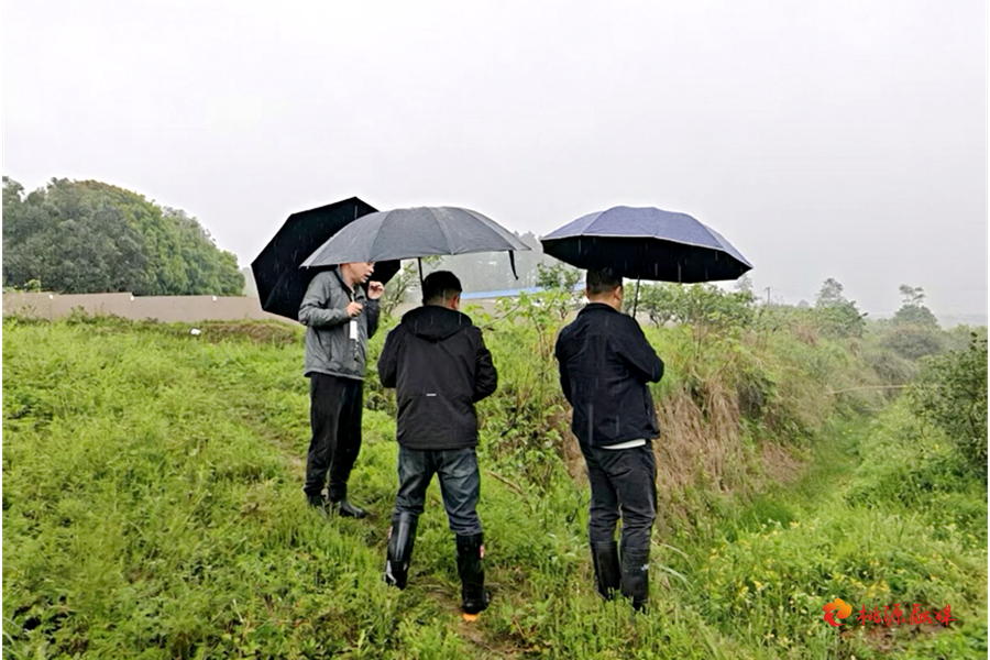 马鬃岭镇：三部门联动“利剑”出击 筑牢养殖生态防线