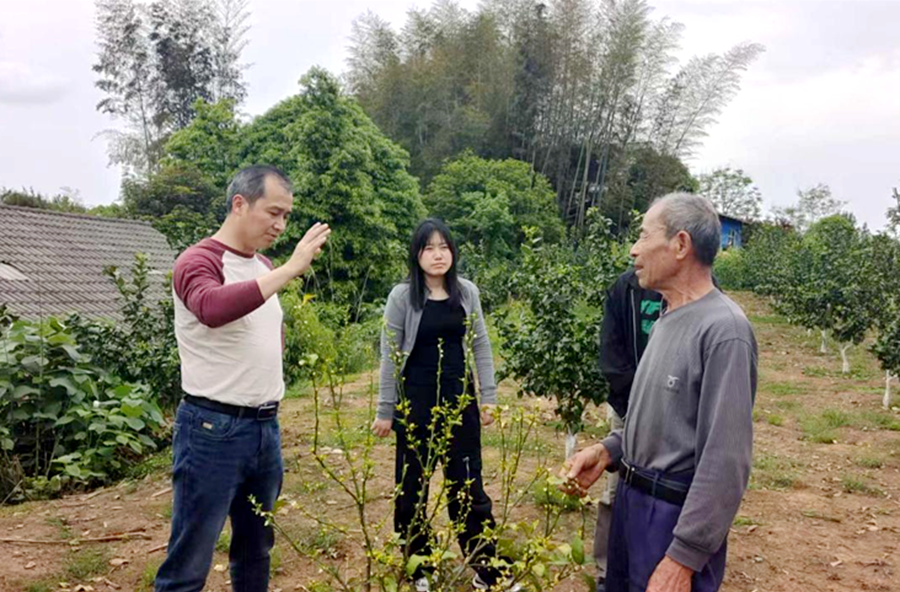 马鬃岭镇：生态问诊到地头  农技护航促增收
