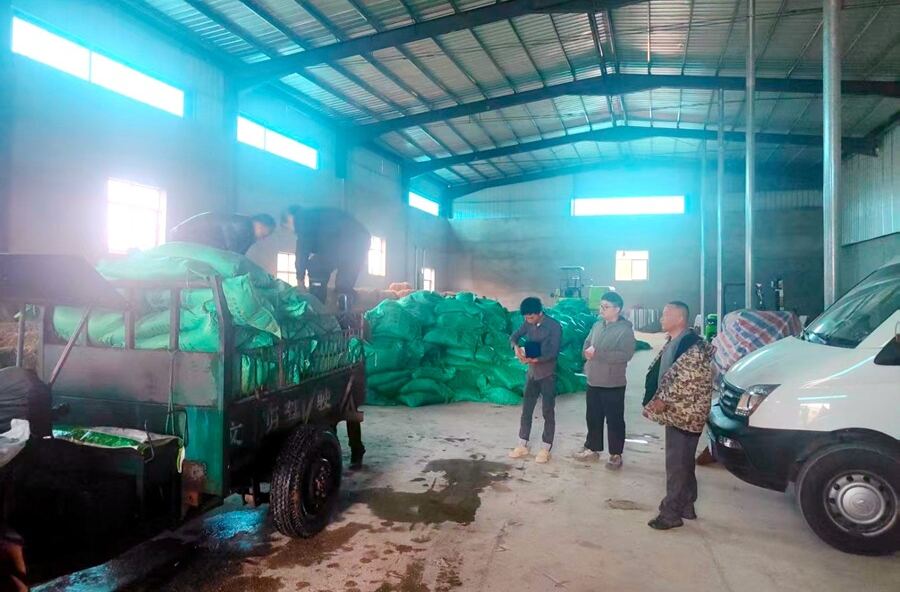 泥窝潭乡：免费有机肥暖心发放 赋能春耕生产助力粮食丰收
