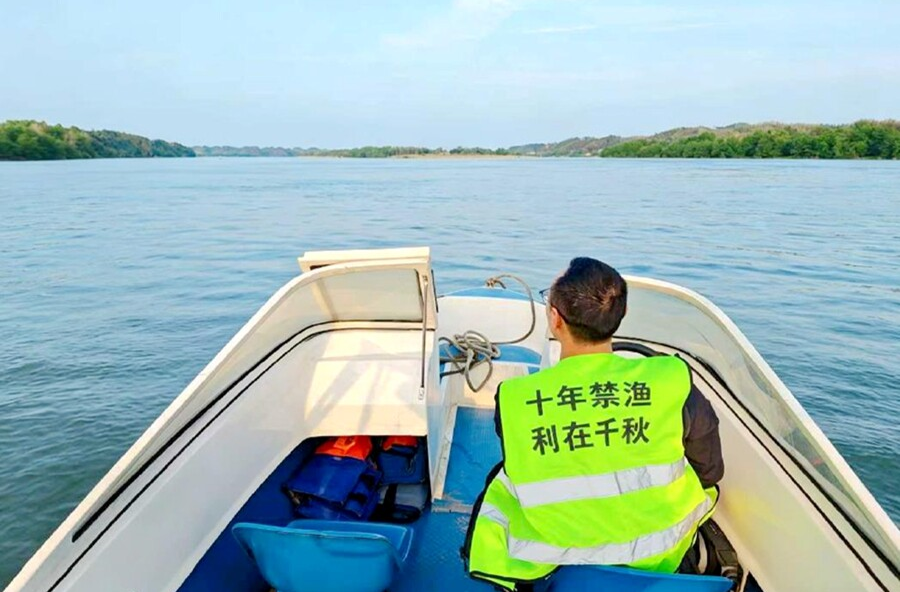 夷望溪镇：禁捕护水守生态 巡查赋能绘新卷
