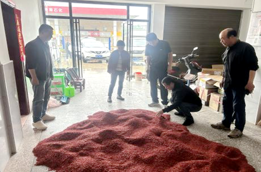 架桥镇：农技包联精准赋能