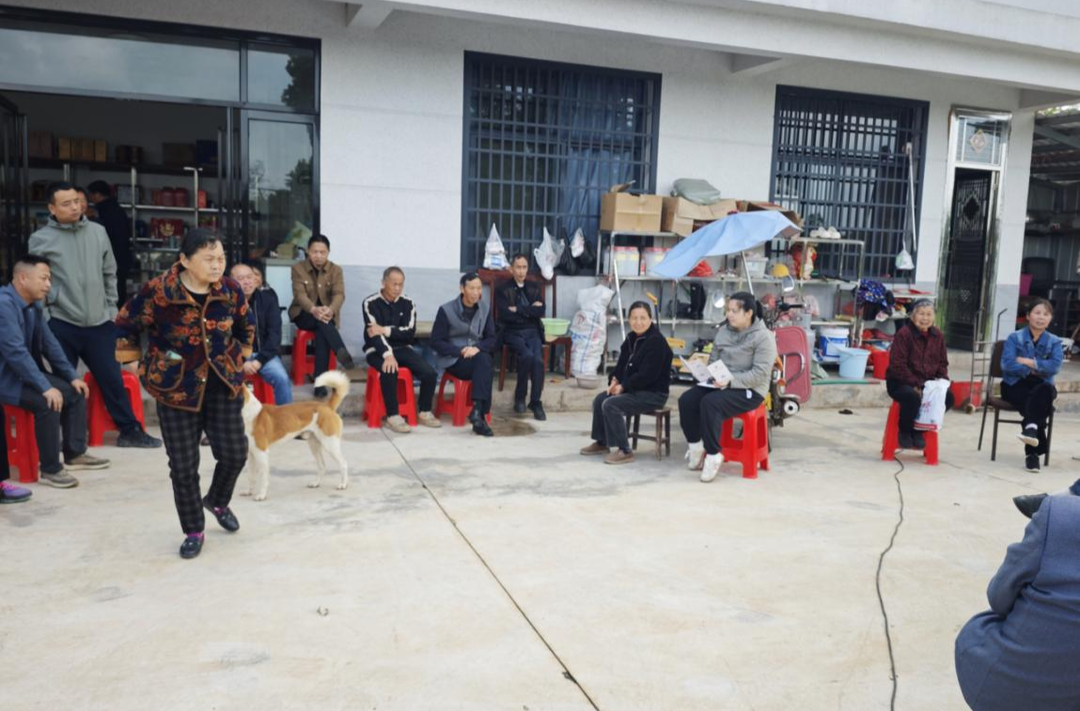 泥窝潭乡：屋场会上听民意 政策宣讲暖民心