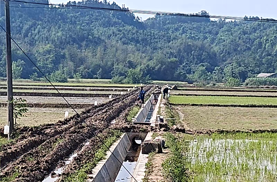 泥窝潭乡：布设绿色诱捕器 筑牢农田防虫线