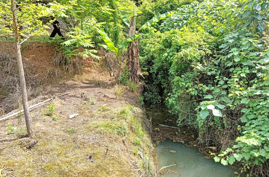 架桥镇朝阳村：干群同心修水利 筑牢农田灌溉生命线