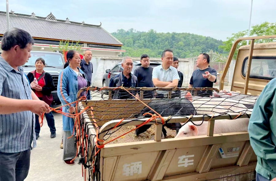 理公港镇：阳光助残送温情 养殖帮扶促增收