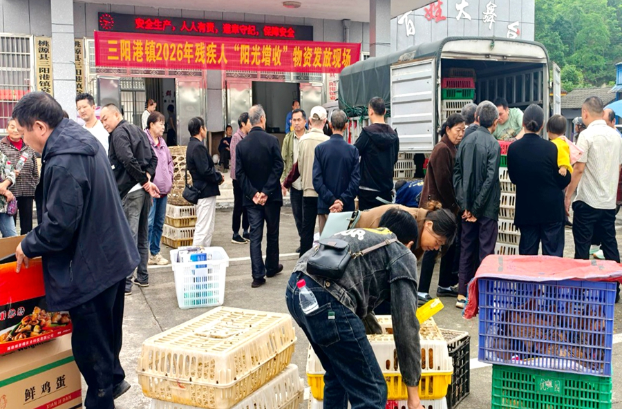 三阳港镇：发放鸡苗、配送技术 助力残疾人养殖增收日子有奔头