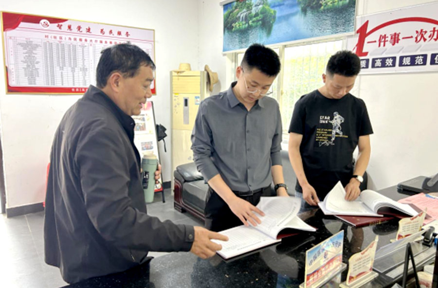 盘塘镇：规范三资管理筑牢基层治理根基