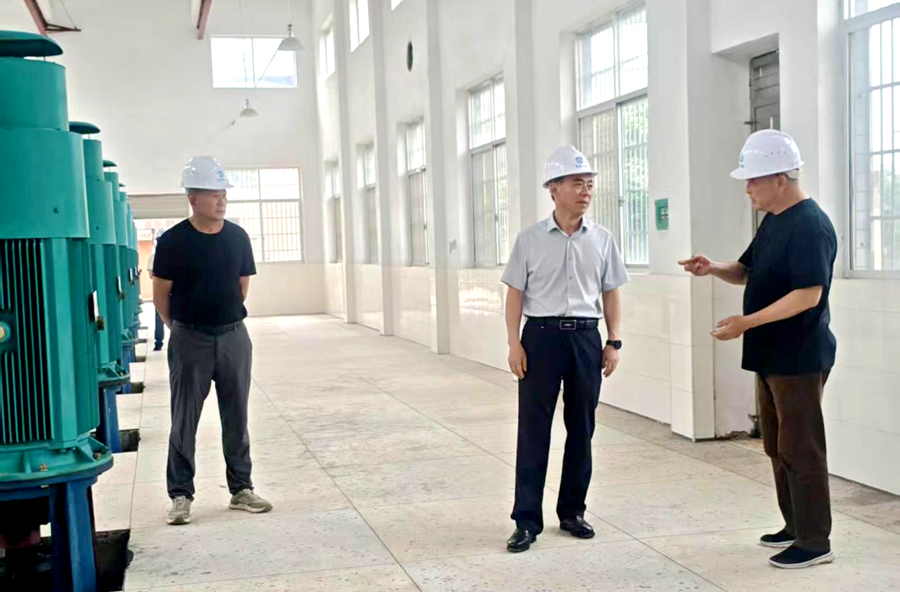市审计局联垸领导赴陬溪垸开展防汛备汛工作检查