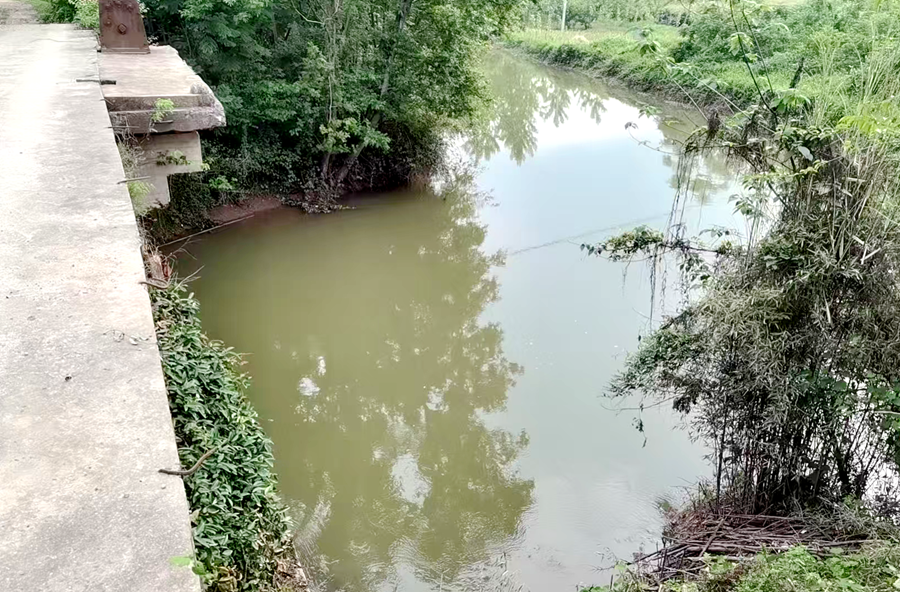 枫树乡：清理河道焕新颜 守护碧水美乡村
