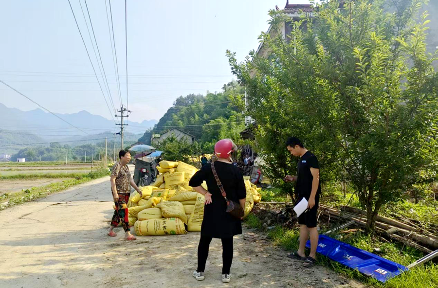 观音寺镇：免费肥料进高标田，丰收底气冒了尖