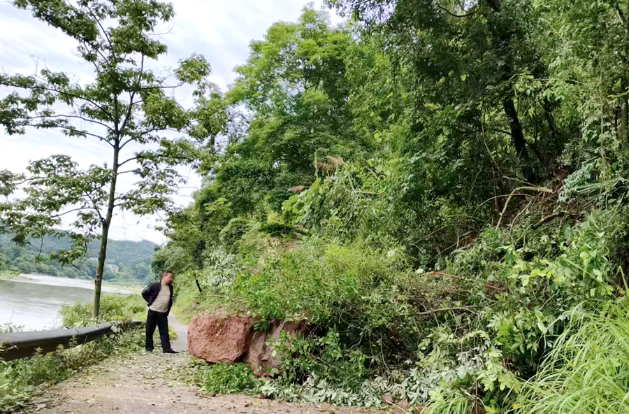 观音寺镇：巨石拦路，支书清晨带队一小时“抢通”