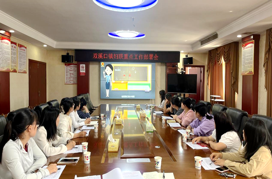 双溪口镇：召开重点工作会 筑牢妇女儿童安全防线