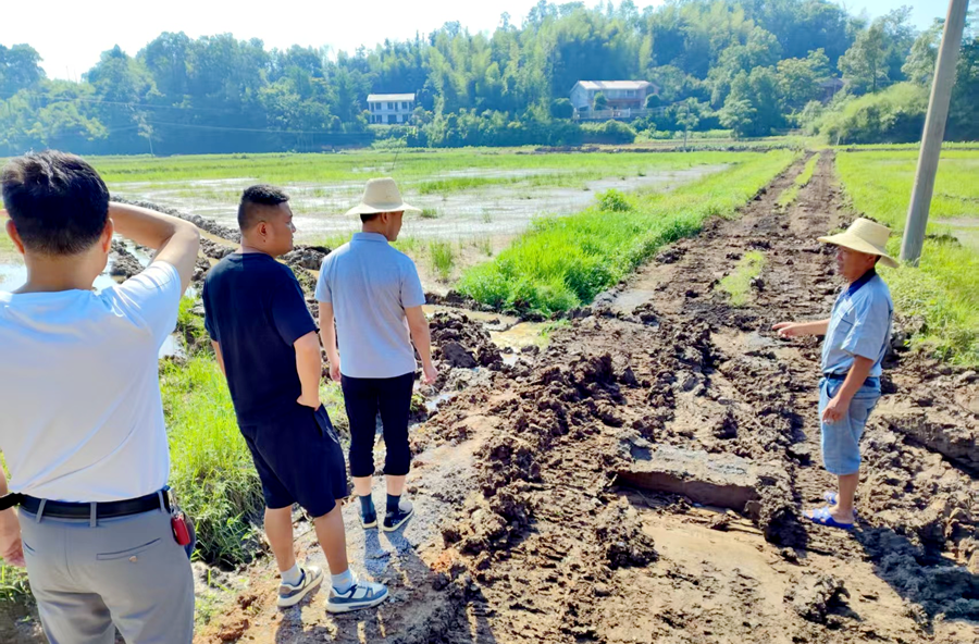 三阳港镇：热线解民忧 抢时保耕种