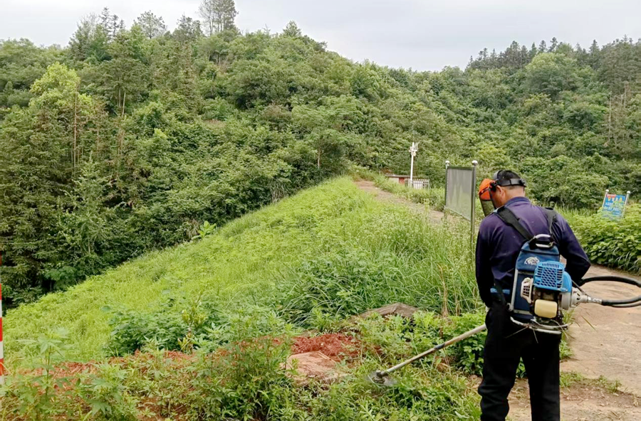 浔阳街道：清杂护堤坝 筑牢防汛安全防线