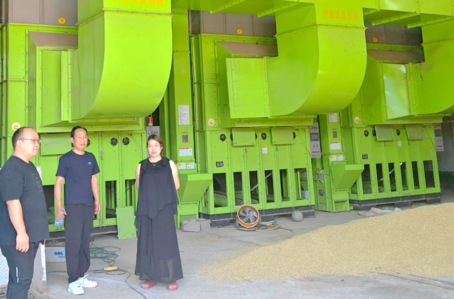 架桥镇：扎实开展农业设施安全生产隐患排查