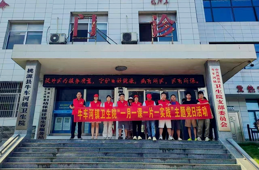 牛车河镇卫生院：党建赋能净院区  凝心聚力优服务