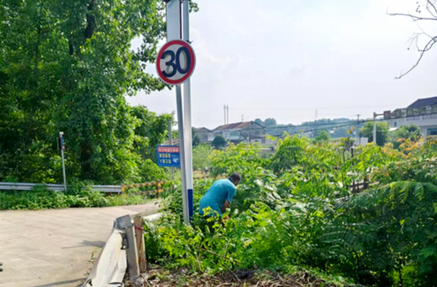 盘塘镇盘龙桥社区：砍青扫障除隐患 为民出行保平安
