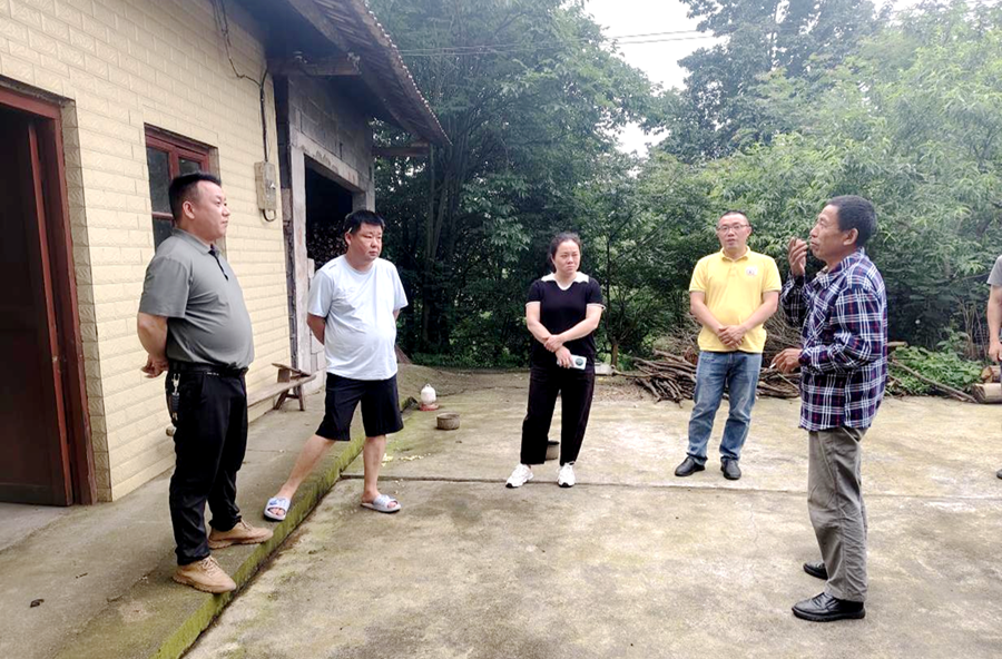县委驻梨树垭村乡村振兴帮扶工作队：入户走访察民情，助力评残暖人心