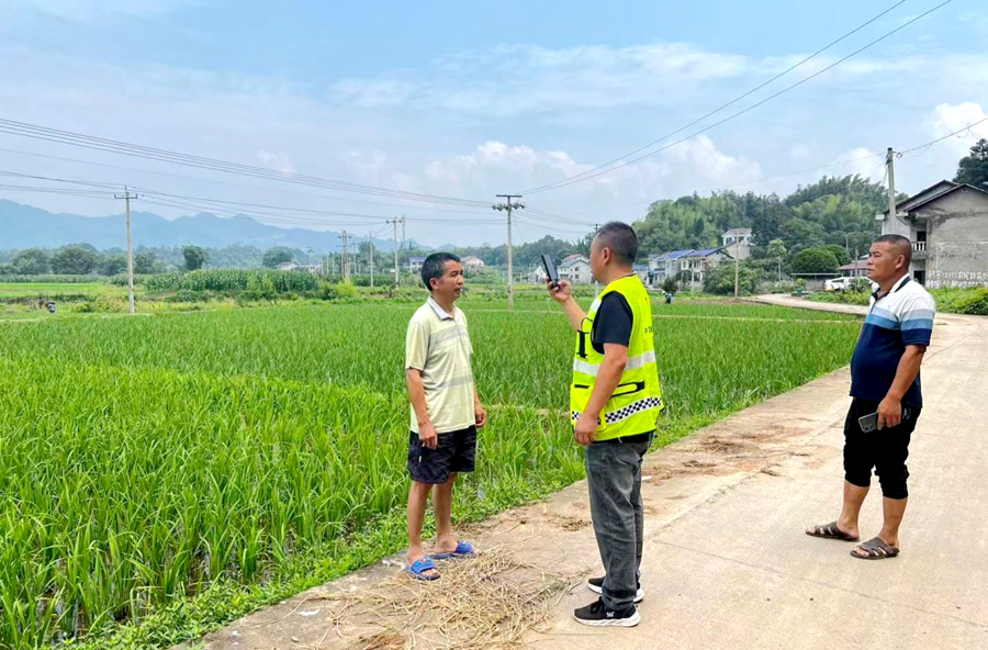 观音寺镇惠农保险筑牢中稻丰产“防护网”