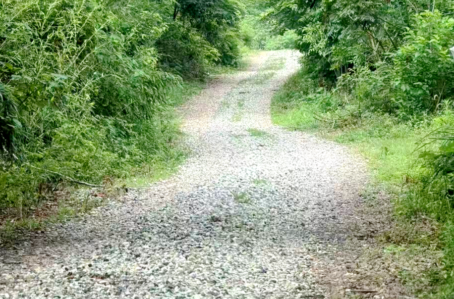 浔阳街道：让百姓心安，是最坚固的“堤坝”