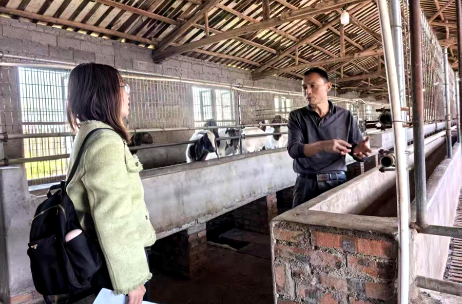桃源县审计局：审计监督助推畜牧业高质量发展