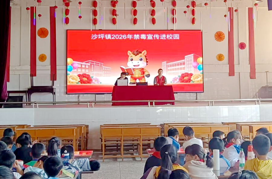 沙坪镇：  禁毒宣讲进校园 无毒青春助成长